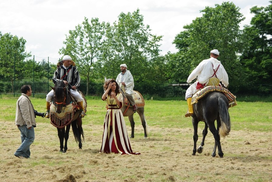 Le Moussem des Cultures 2008 163.jpg